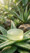 Aloe Vera Soap